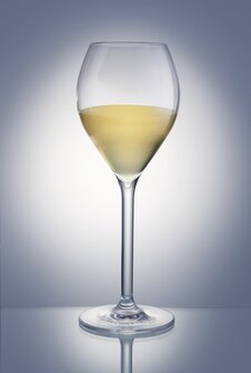 Set onbreekbare champagneglazen / wijnglazen op voet PREMIUM, helder, transparant, 6 stuks, 27.5cl