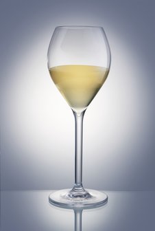 Onbreekbaar champagneglas / wijnglas op voet PREMIUM, helder, transparant, 1 stuk, 27.5cl