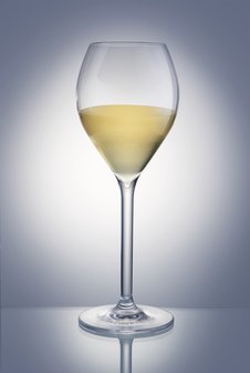 Verre &agrave; champagne ou vin incassable PREMIUM, verre sur pied, clair transparent, 1 pi&egrave;ce, 27.5cl