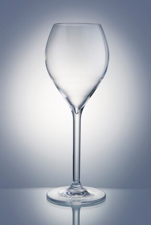 Set onbreekbare champagneglazen / wijnglazen op voet PREMIUM, helder, transparant, 6 stuks, 27.5cl